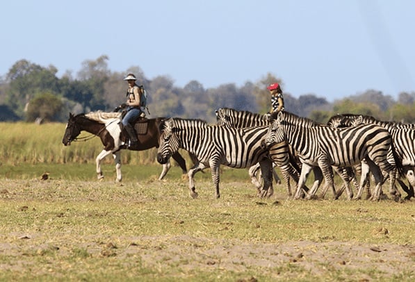 6 Day Okavango Delta Horseback Safari in Botswana